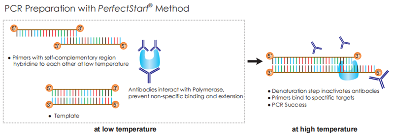 圖片4_副本.png 圖片4_副本.png