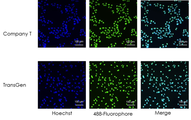 圖片3.png 圖片3.png