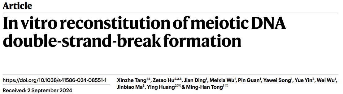 In vitro reconstitution of meiotic DNA double-strand break formation