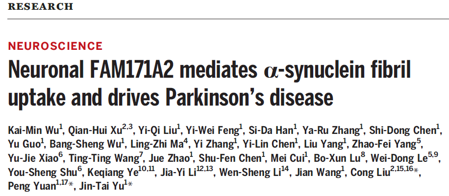 Neuronal FAM171A2 mediates a-synuclein fibril uptake and drives Parkinson’s disease