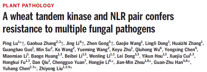A wheat tandem kinase and NLR pair confers resistance to multiple fungal pathogens