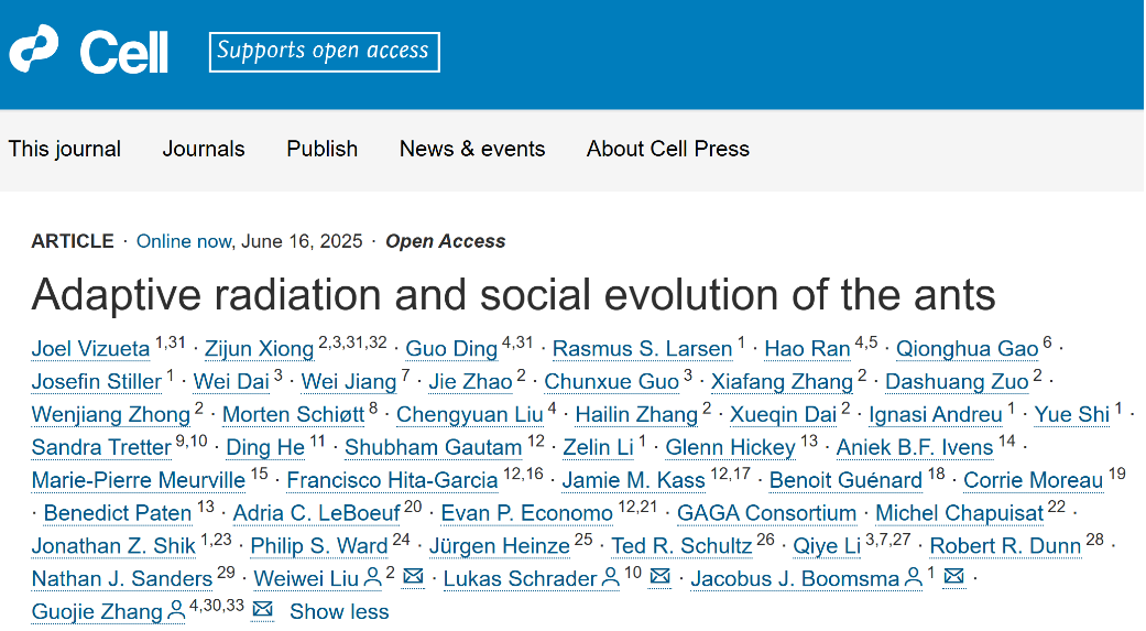 Adaptive radiation and social evolution of the ants