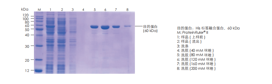 數(shù)據(jù)展示 數(shù)據(jù)展示