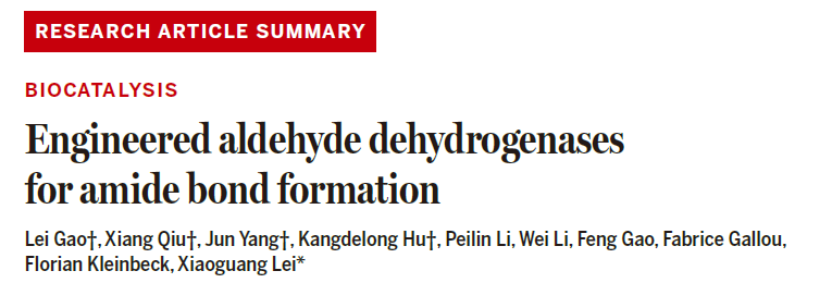 Engineered aldehyde dehydrogenases for amide bond formation